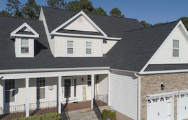 Back shingle roof